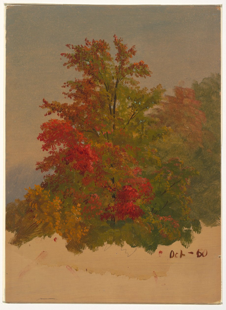 Rajz, Mt. Desert Island , Maine, 1860 októbere alkotó: Frederic Edwin Church