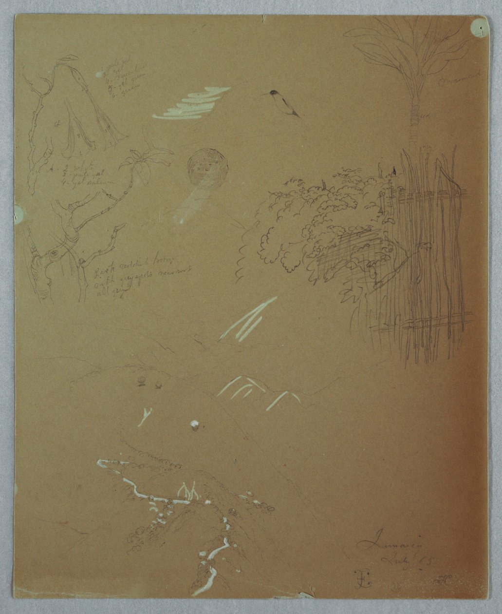 Rajz, Természetjárás, Blue Mountains, Jamaica, 1865. július alkotó: Frederic Edwin Church
