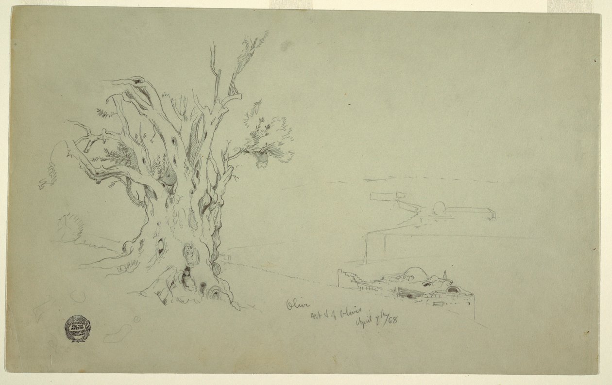 Rajz, Olajfa, Olajfák hegye, 1868. ápr. alkotó: Frederic Edwin Church