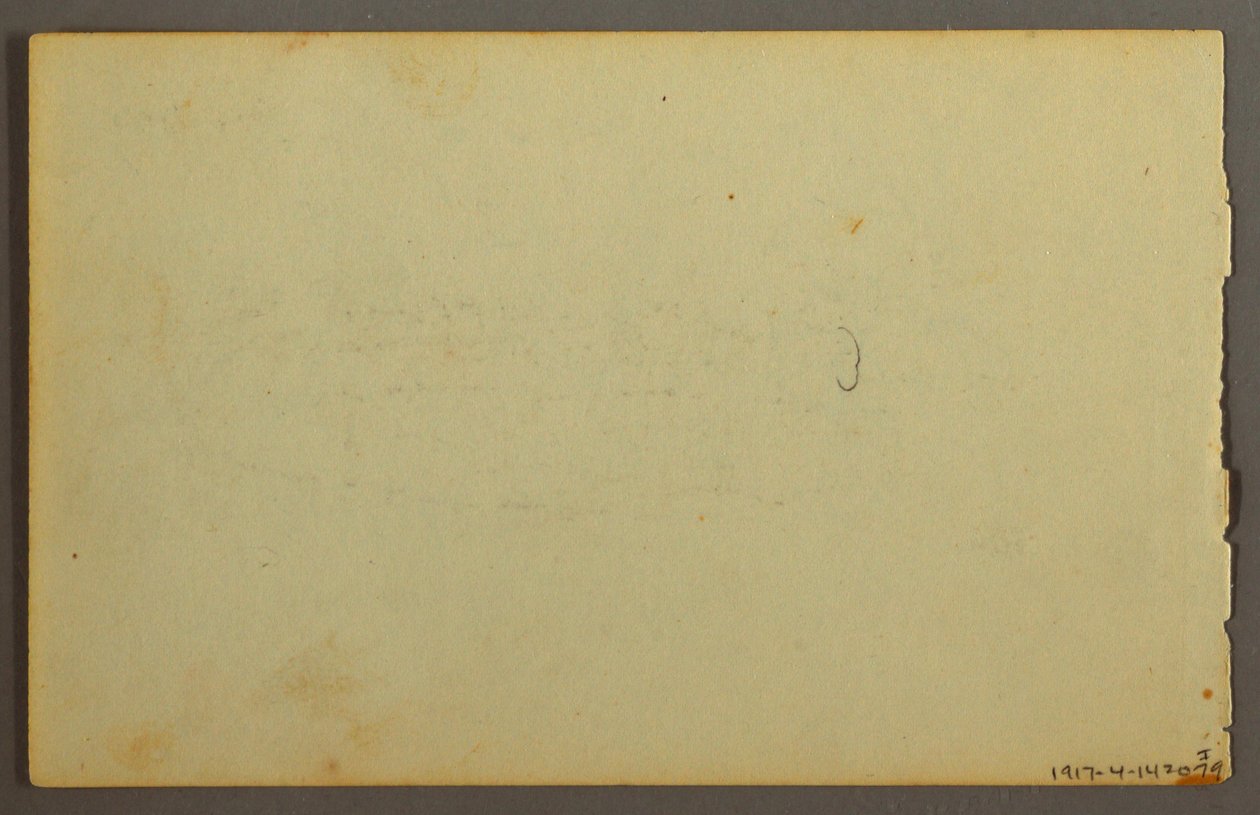Rajz, Növénytanulmány, arcok, talán 1844 alkotó: Frederic Edwin Church