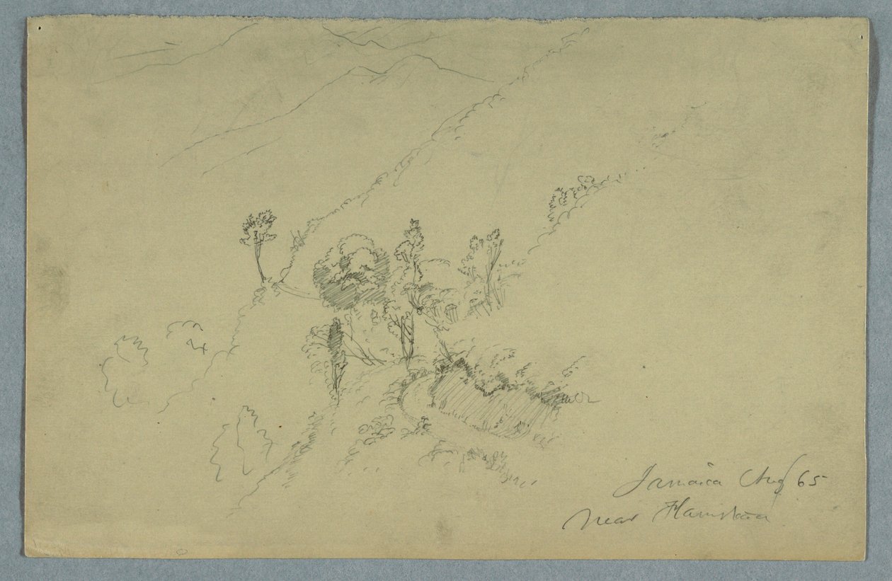 Rajz, Út a Kék-hegységen keresztül, Homestead közelében, Jamaica, 1865. augusztus alkotó: Frederic Edwin Church