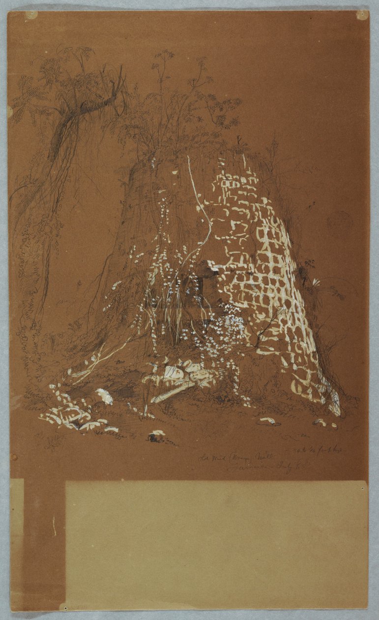Rajz, romos régi szélmalom, Jamaica, 1865. július alkotó: Frederic Edwin Church
