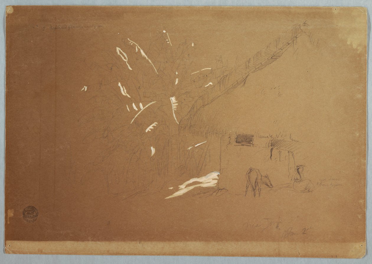 Rajz, Ülő nő és legelésző szamár egy ház előtt Jorje közelében, Ecuador, 1857. június 23. alkotó: Frederic Edwin Church