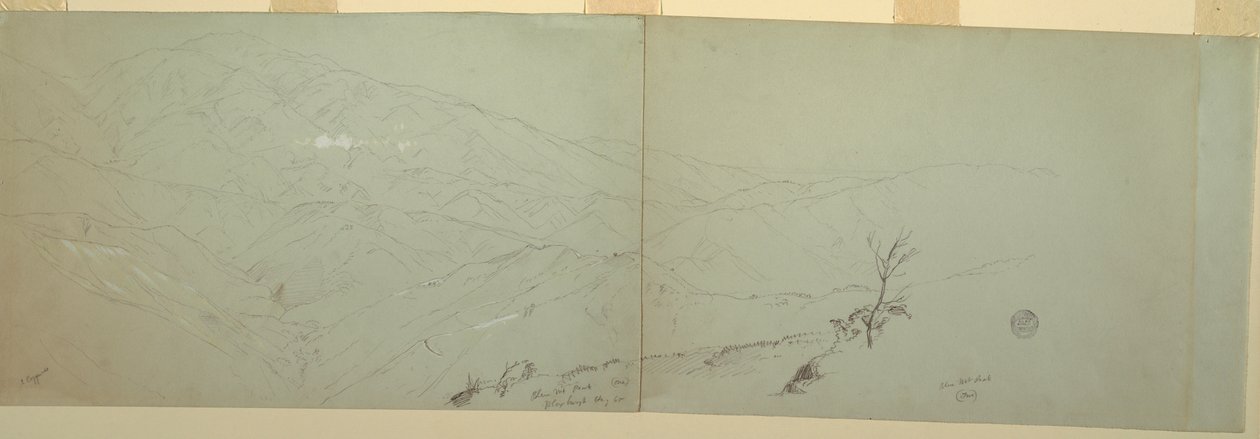 Rajz, vázlatok, Bloxburgh, Jamaica, 1865 alkotó: Frederic Edwin Church