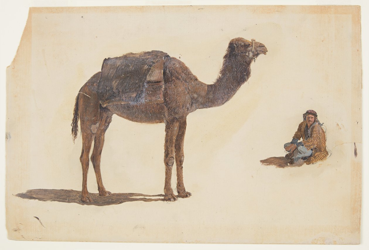Rajz, Dromedár tanulmánya, 1868 alkotó: Frederic Edwin Church