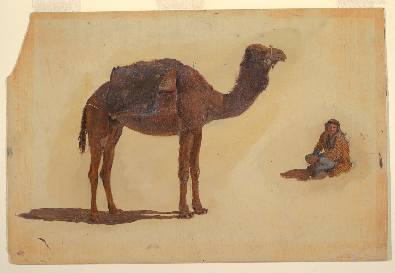 Rajz, Dromedár tanulmánya, 1868 alkotó: Frederic Edwin Church