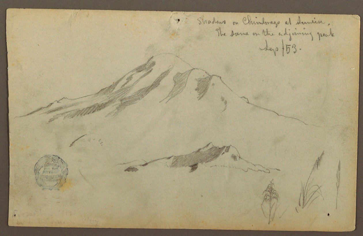 Rajz, Napfelkelte a Chimborazo-hegyen és három részlet a fűről, 1853. szeptember alkotó: Frederic Edwin Church