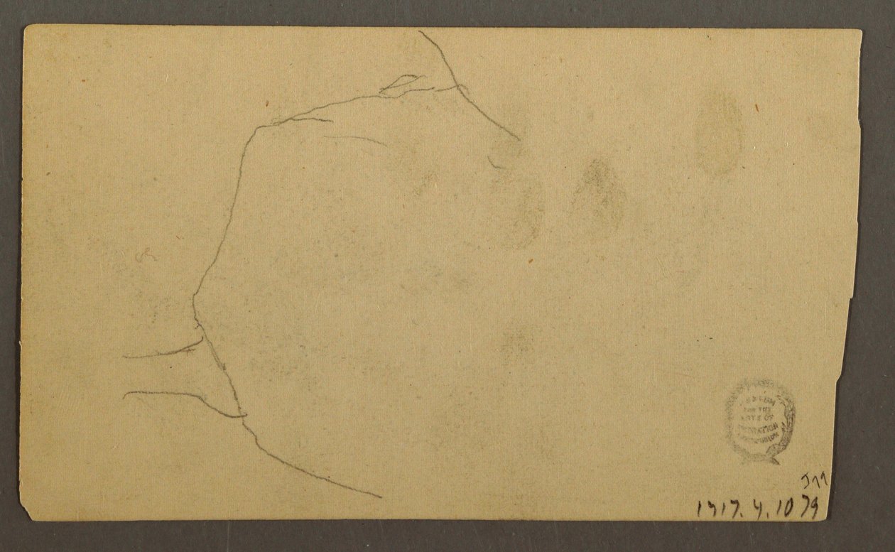 Rajz, Egy szikla fölé növő fa gyökerei (Turner-hegy), 1877 alkotó: Frederic Edwin Church