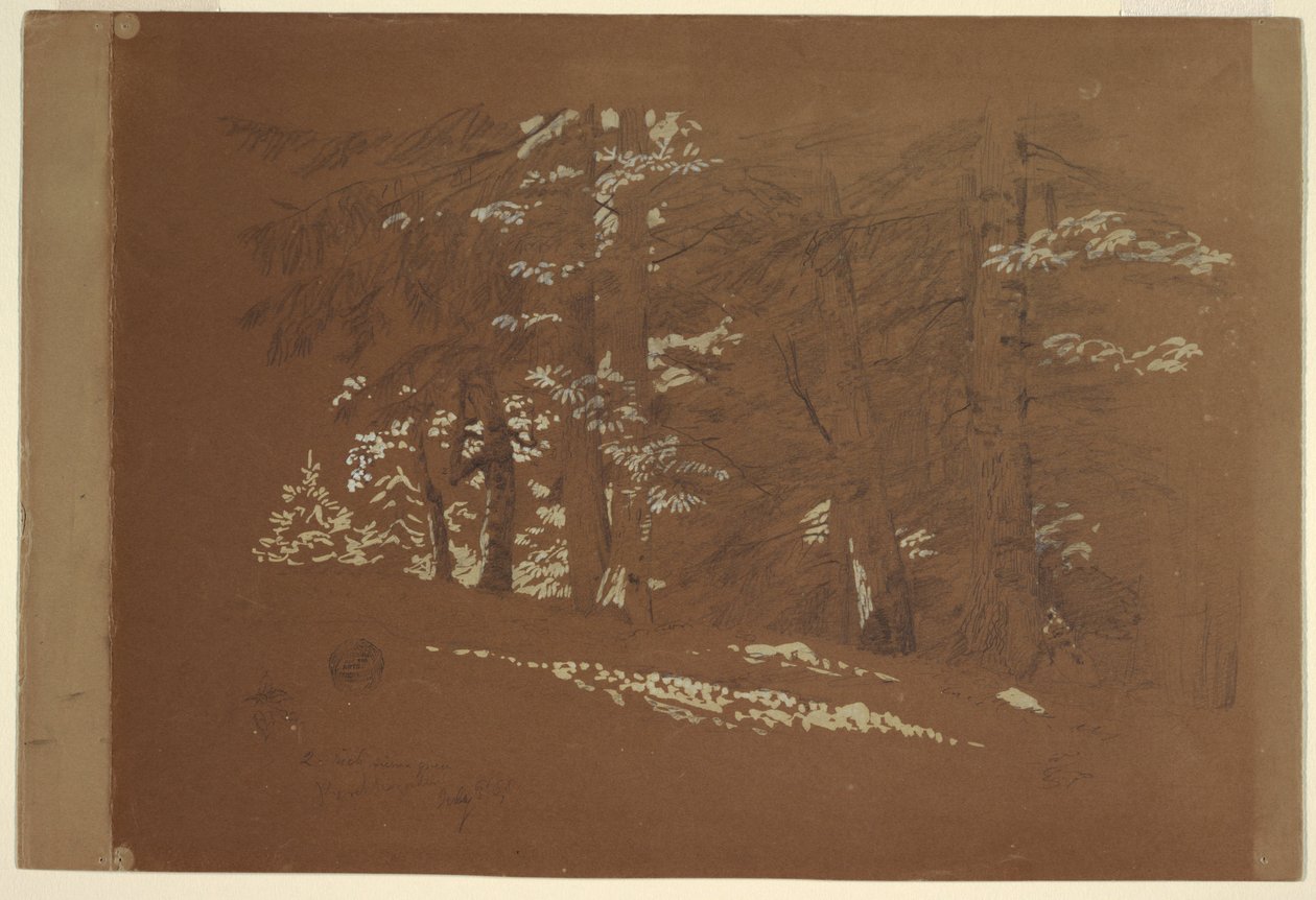 Rajz, Fák, Berchtesgaden, Bajorország, 1868 alkotó: Frederic Edwin Church
