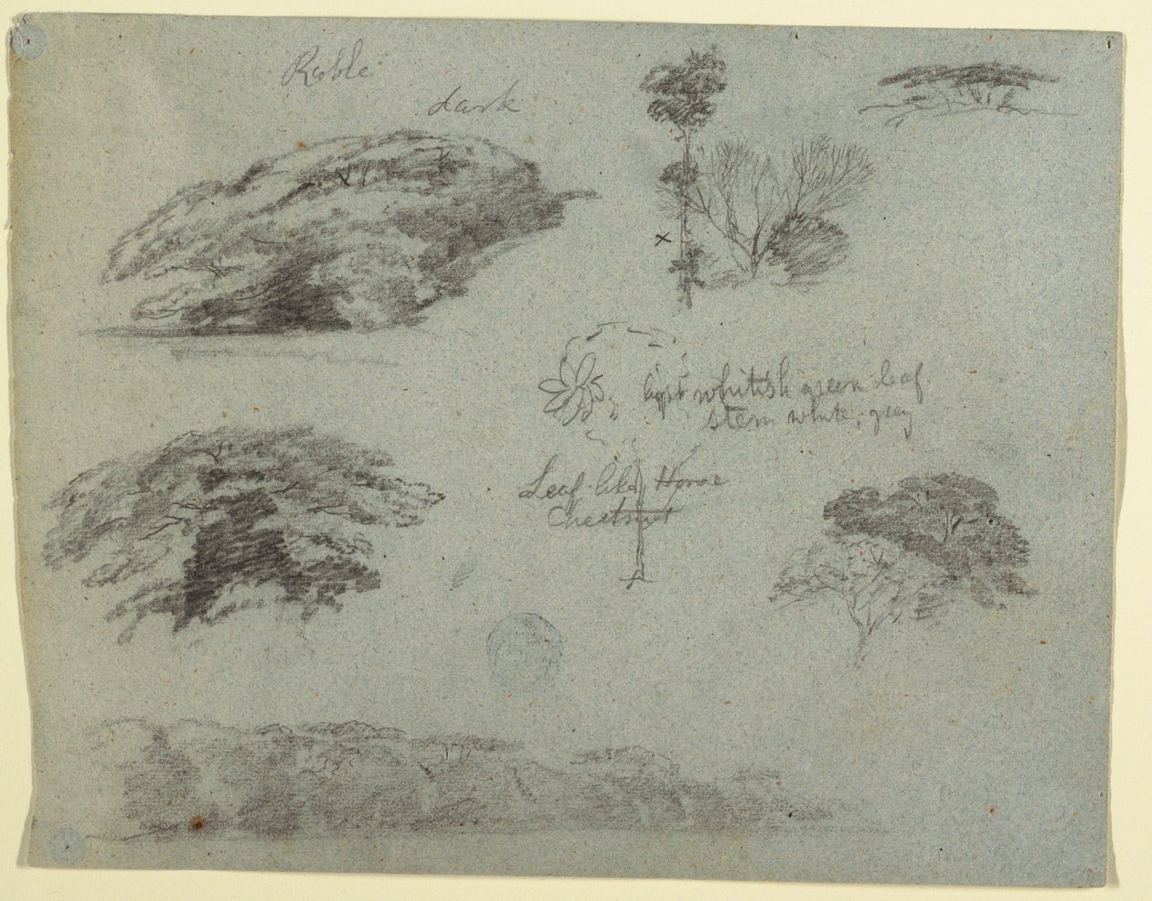 Rajz, Fák, facsúcsok és egy erdős part, Saddleback, Maine, 1853 alkotó: Frederic Edwin Church