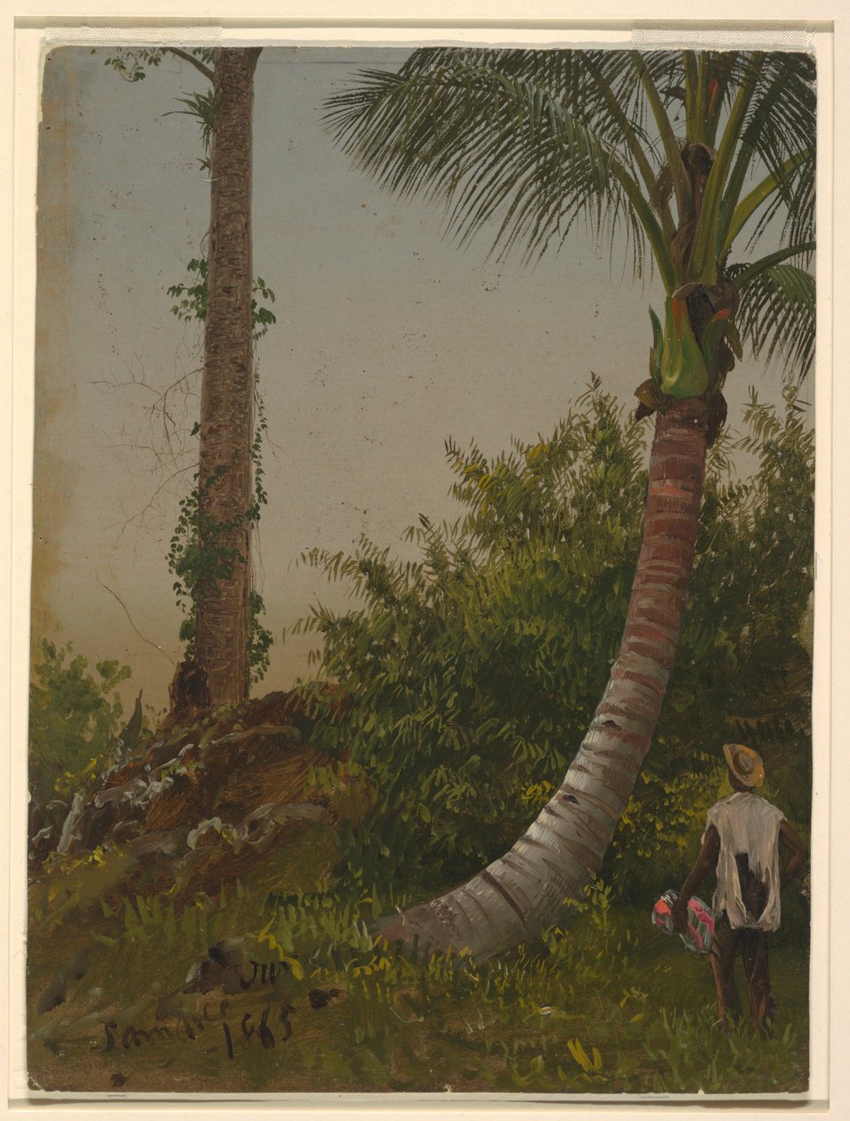 Rajz, Fák Jamaikában, Nyugat-Indiában, 1865 alkotó: Frederic Edwin Church