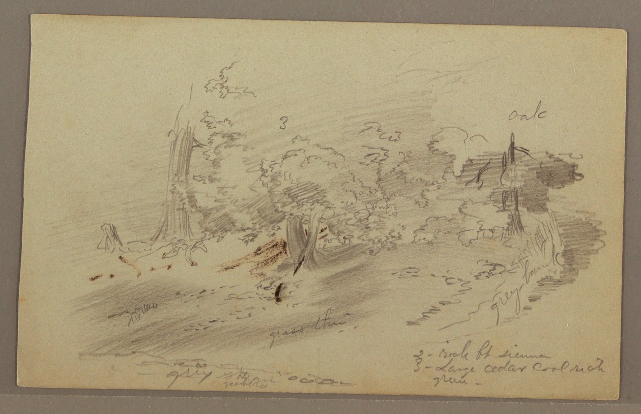 Rajz, fák, valószínűleg 1860-as évek alkotó: Frederic Edwin Church