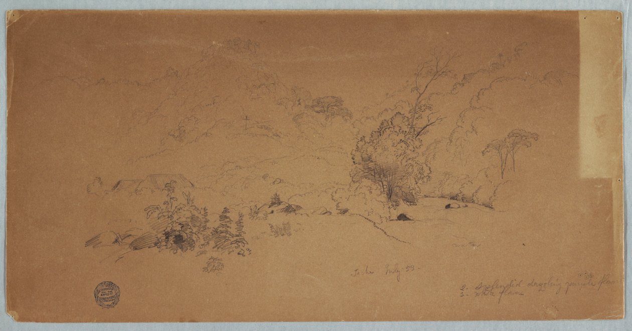 Rajz, Toche látképe, Kolumbia, 1853. július alkotó: Frederic Edwin Church