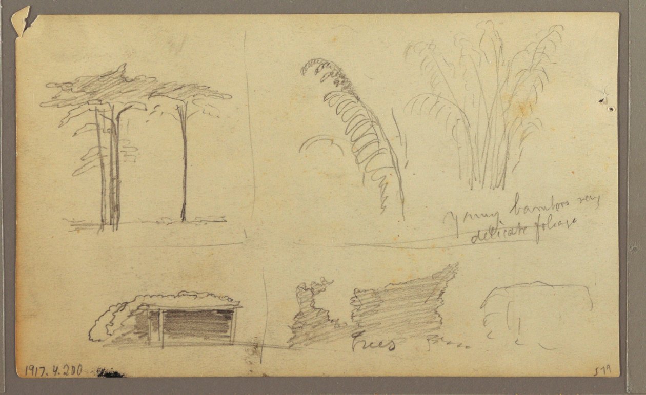 Rajz, A Guayas folyó keleti partjának nézetei, szemben Guayaquillal, Ecuador, 1857. május alkotó: Frederic Edwin Church