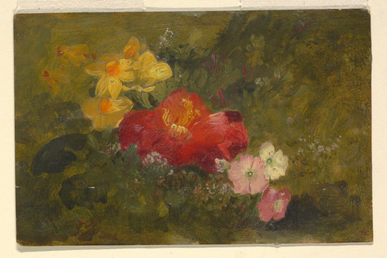 Rajz, Vadvirágok, Jamaica, 1865 alkotó: Frederic Edwin Church