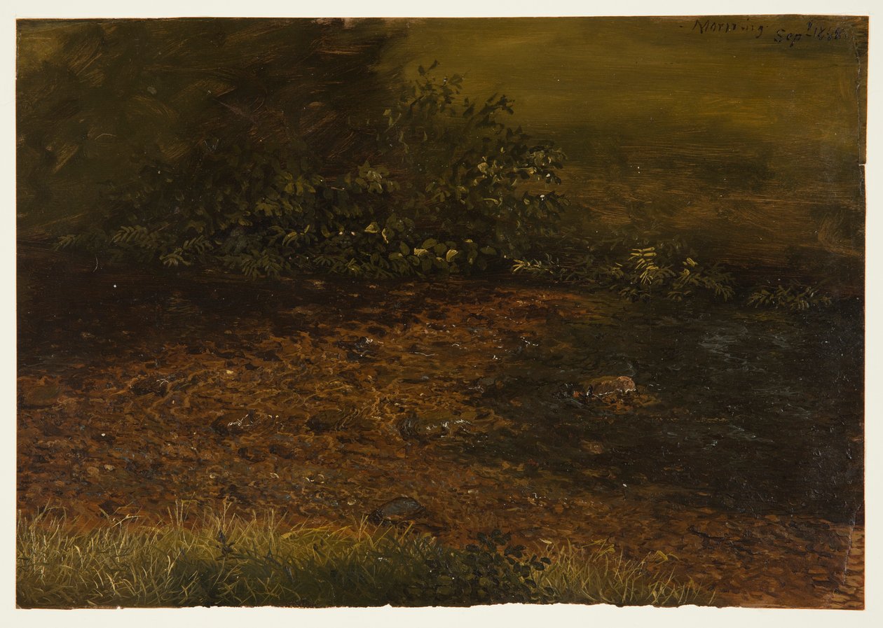 Rajz, erdei patak a Catskillsben, 1848 szeptembere alkotó: Frederic Edwin Church