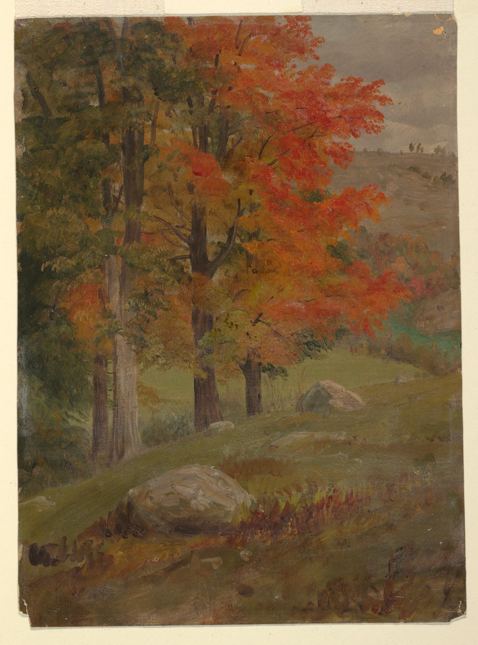 Rajz, Őszi erdő, 1865 alkotó: Frederic Edwin Church