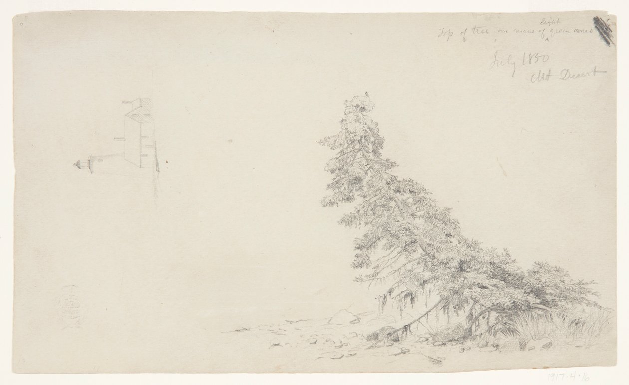 Örökzöld fa a part közelében a világítótorony és egy ház részletével, Mount Desert, Maine alkotó: Frederic Edwin Church