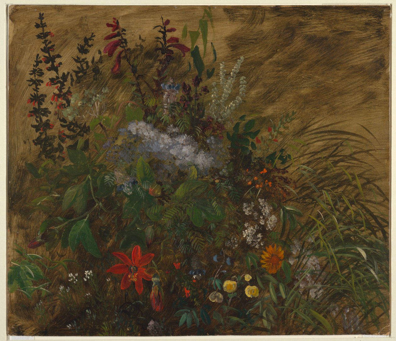 Virágok Jamaicán alkotó: Frederic Edwin Church