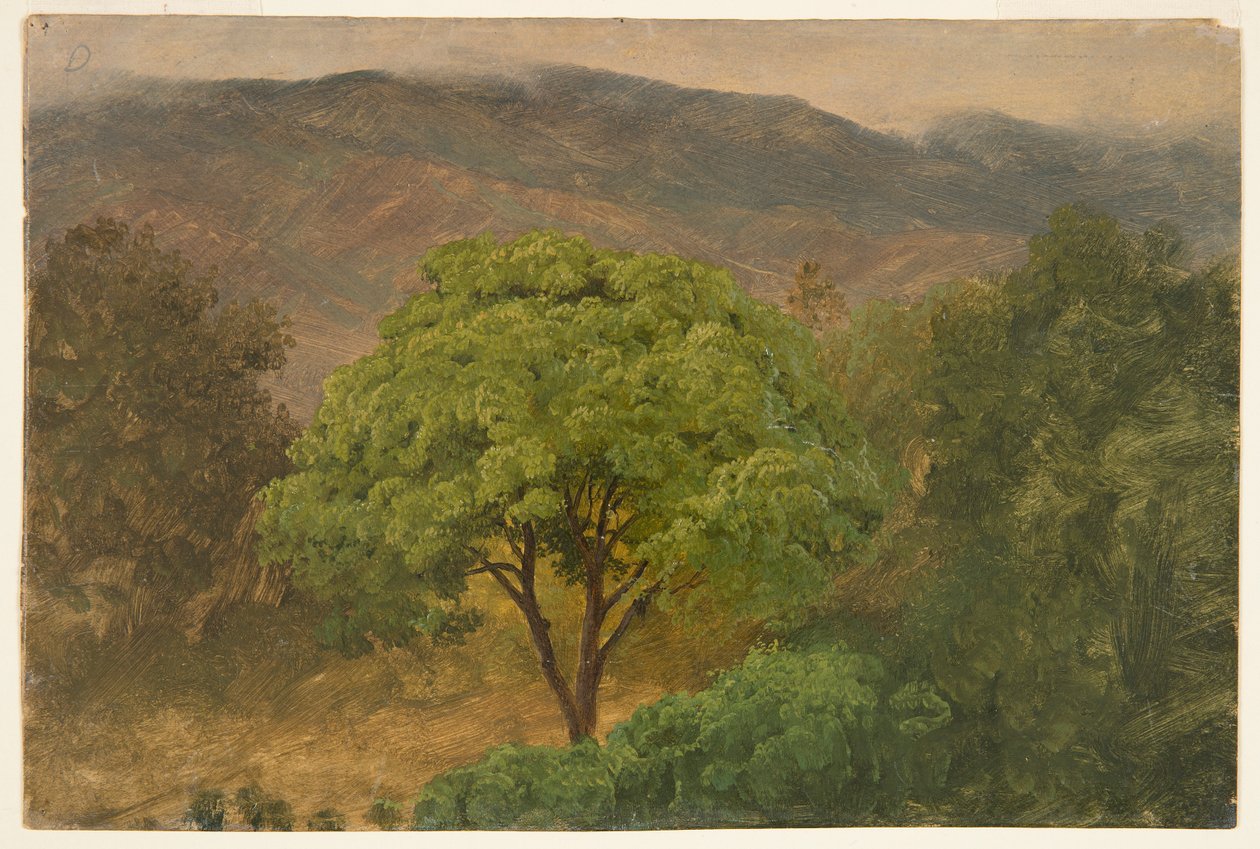 Genip Tree a hegyekben, Jamaica alkotó: Frederic Edwin Church