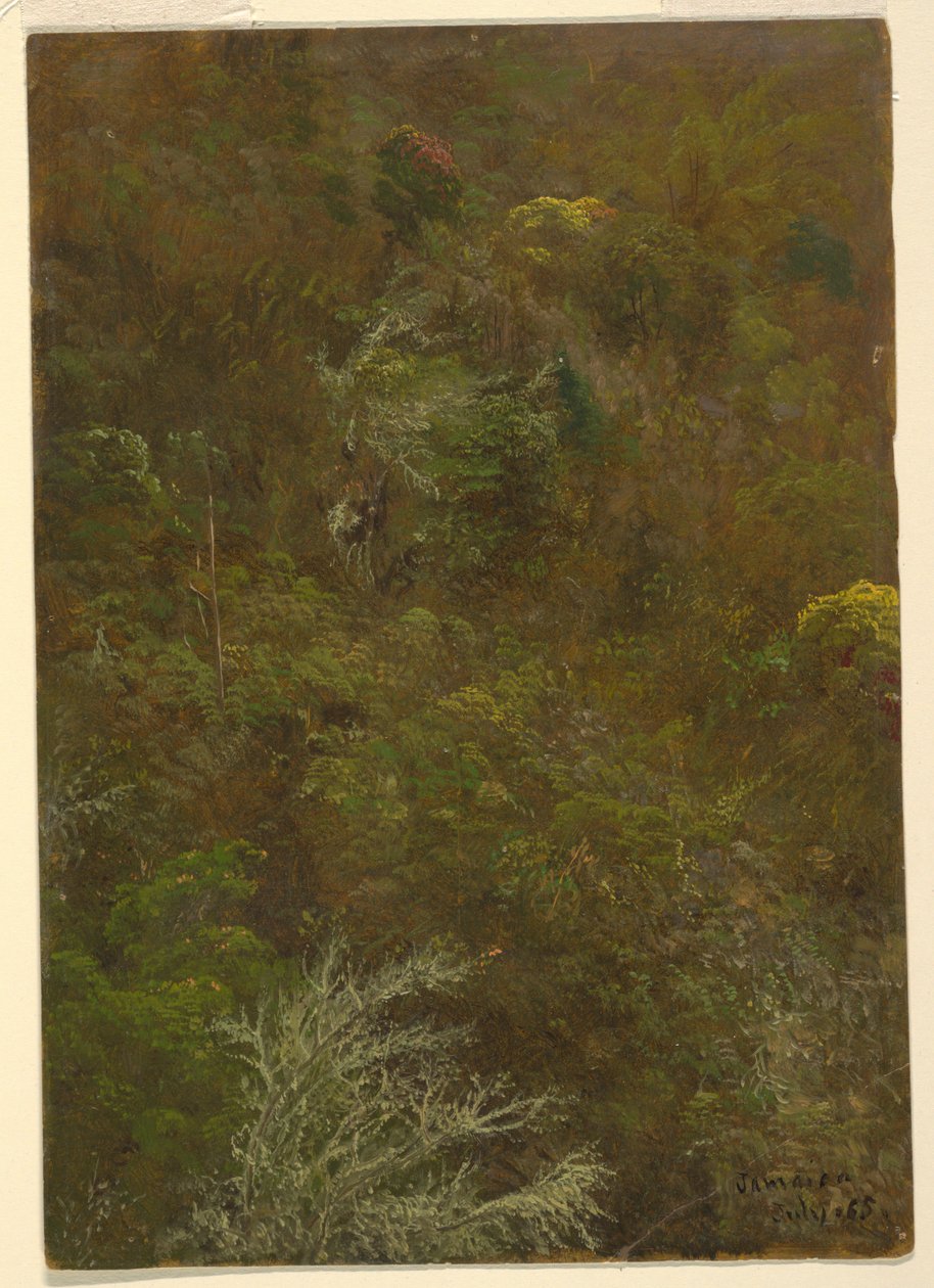 Domboldal fákkal, Jamaica alkotó: Frederic Edwin Church