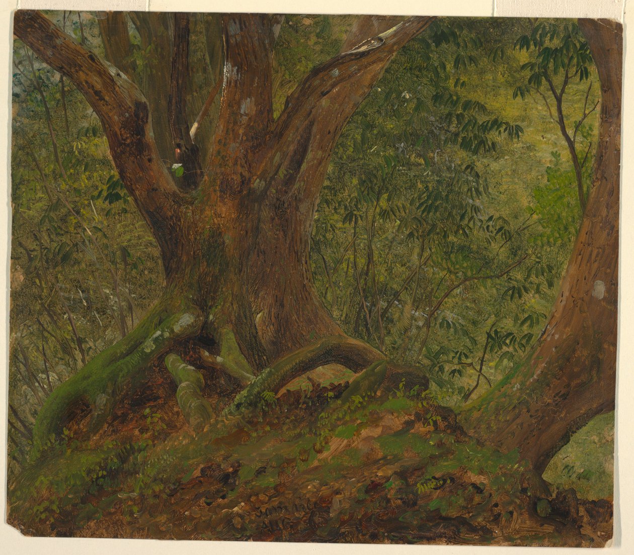 Az erdőben, Jamaicán alkotó: Frederic Edwin Church