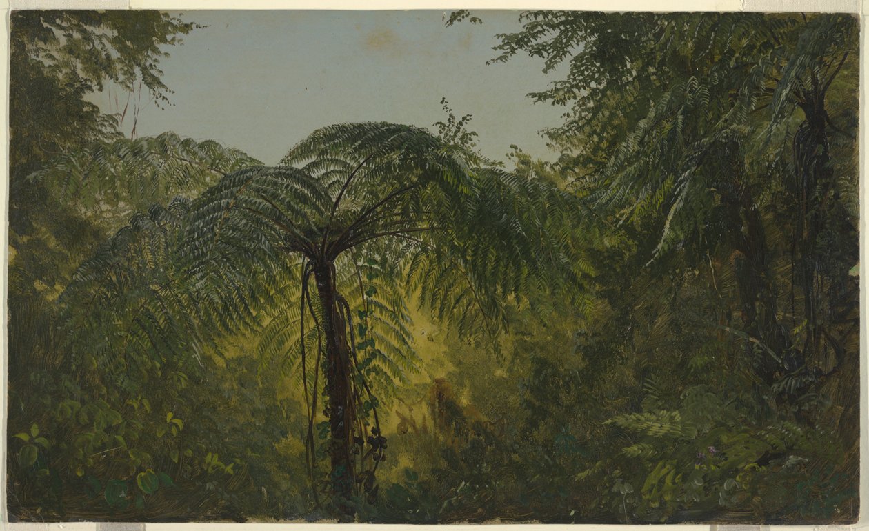 Jungle Foliage, Jamaica alkotó: Frederic Edwin Church