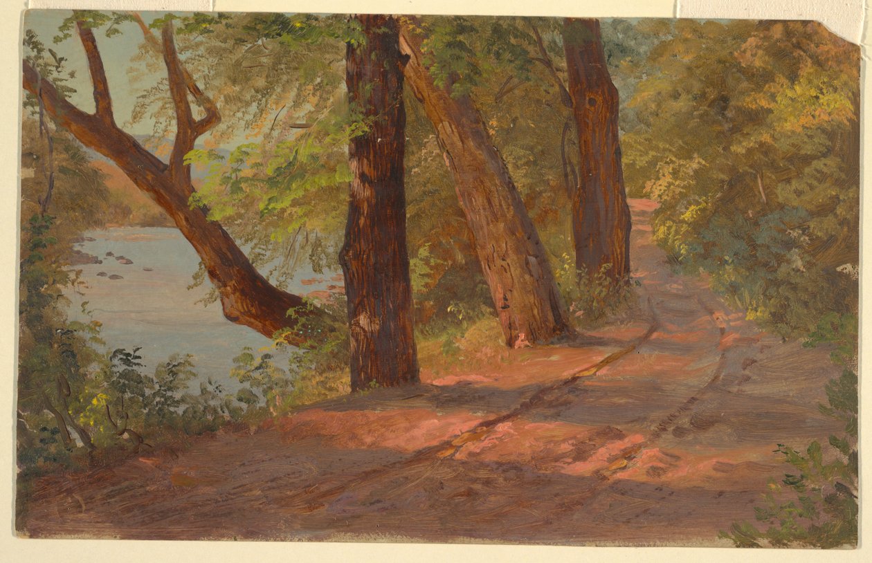 Táj Észak-Amerikából (Út a tó mellett) alkotó: Frederic Edwin Church