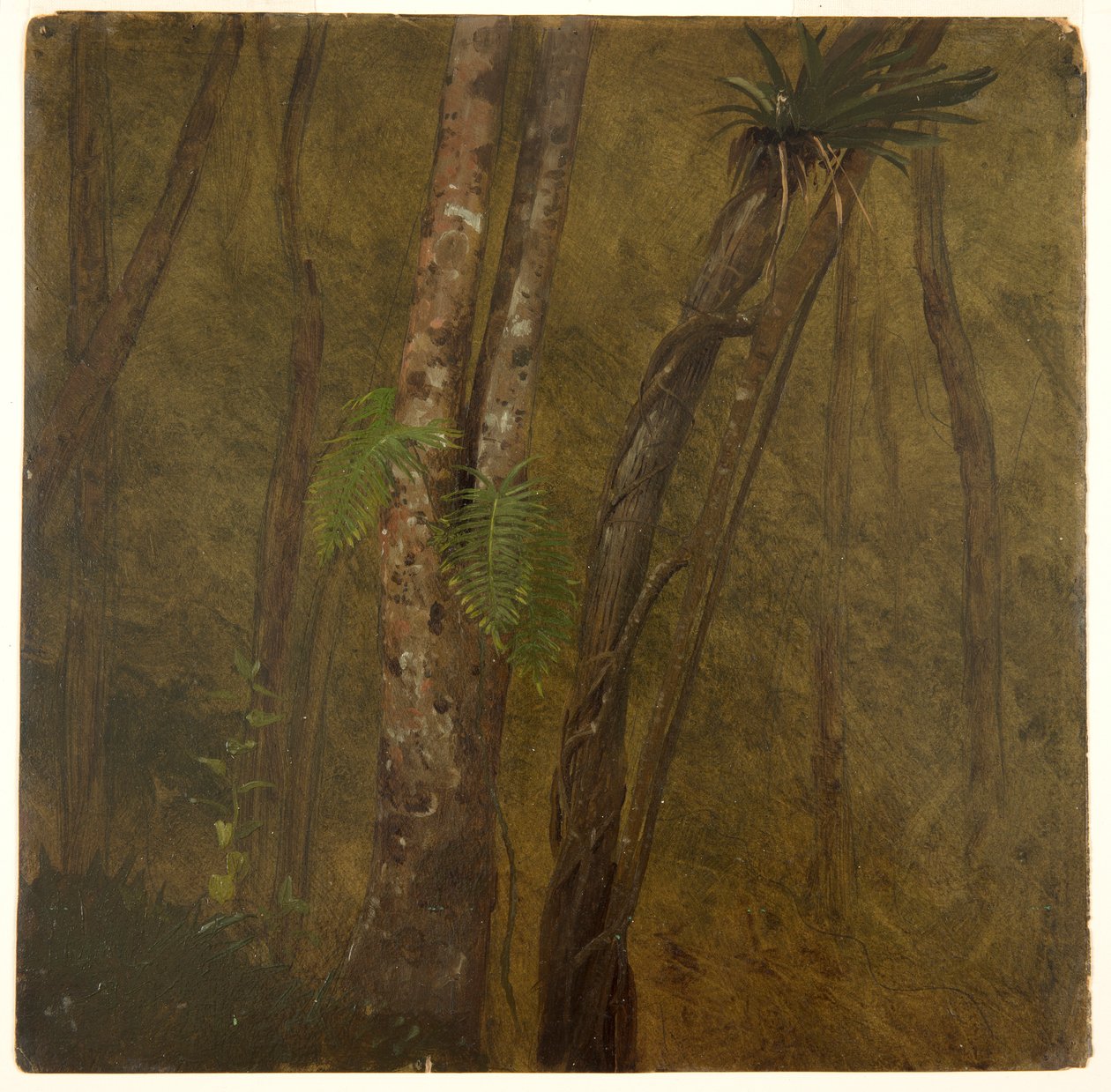 Táj Jamaicában alkotó: Frederic Edwin Church