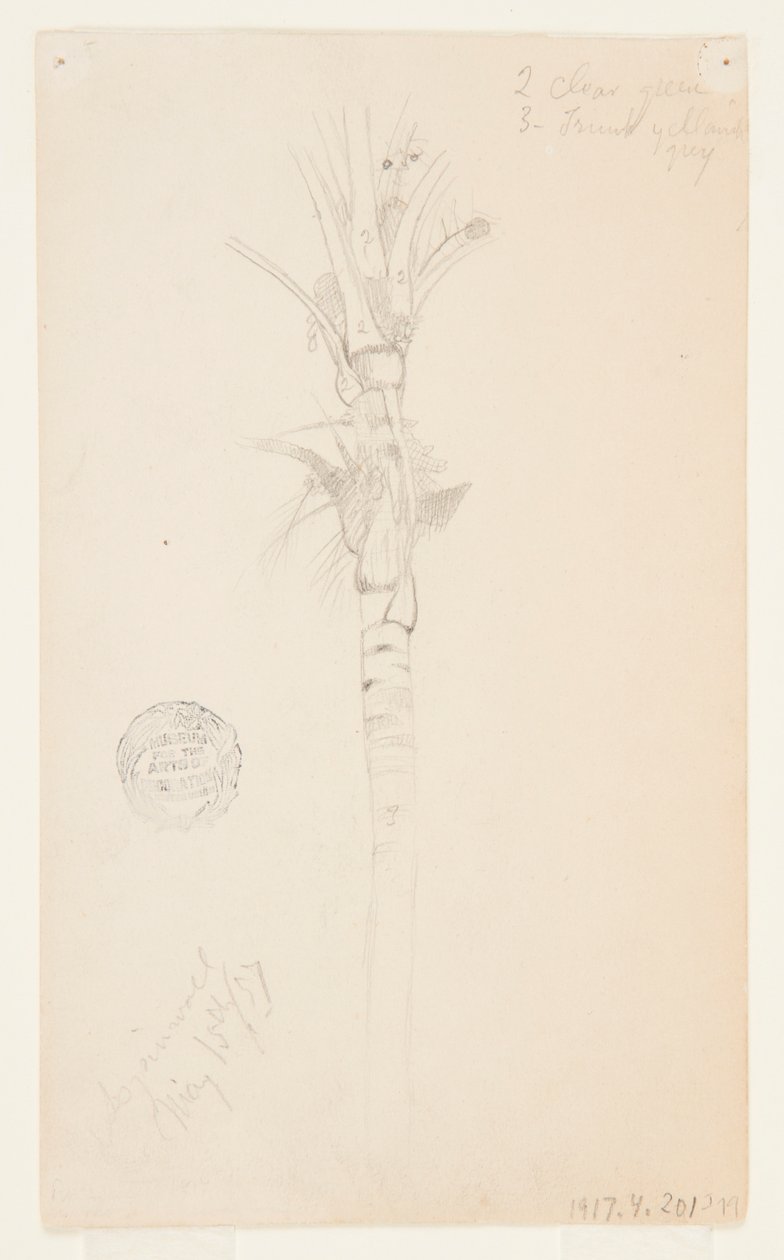 Pálmafa levelei és szára, Aspinwall, Panama alkotó: Frederic Edwin Church