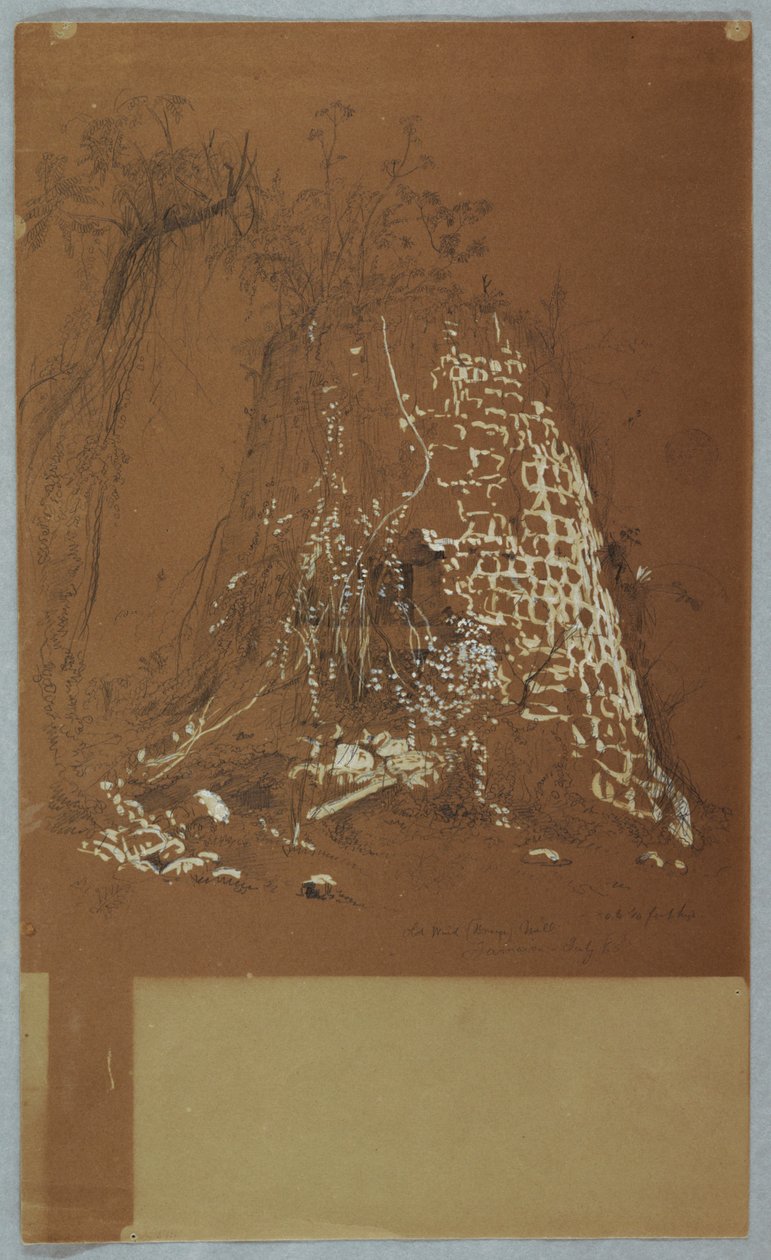 Old Windmill, Jamaica alkotó: Frederic Edwin Church