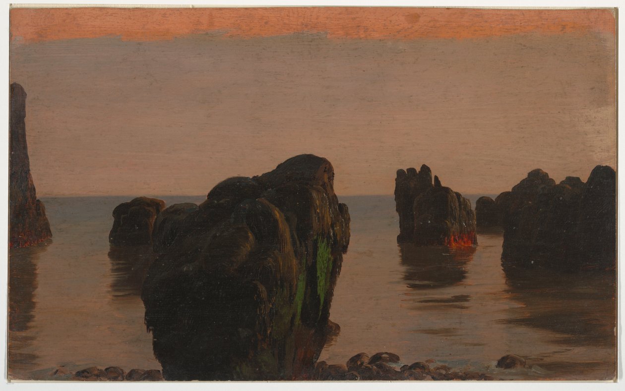 Sziklák és moha Grand Mananról alkotó: Frederic Edwin Church