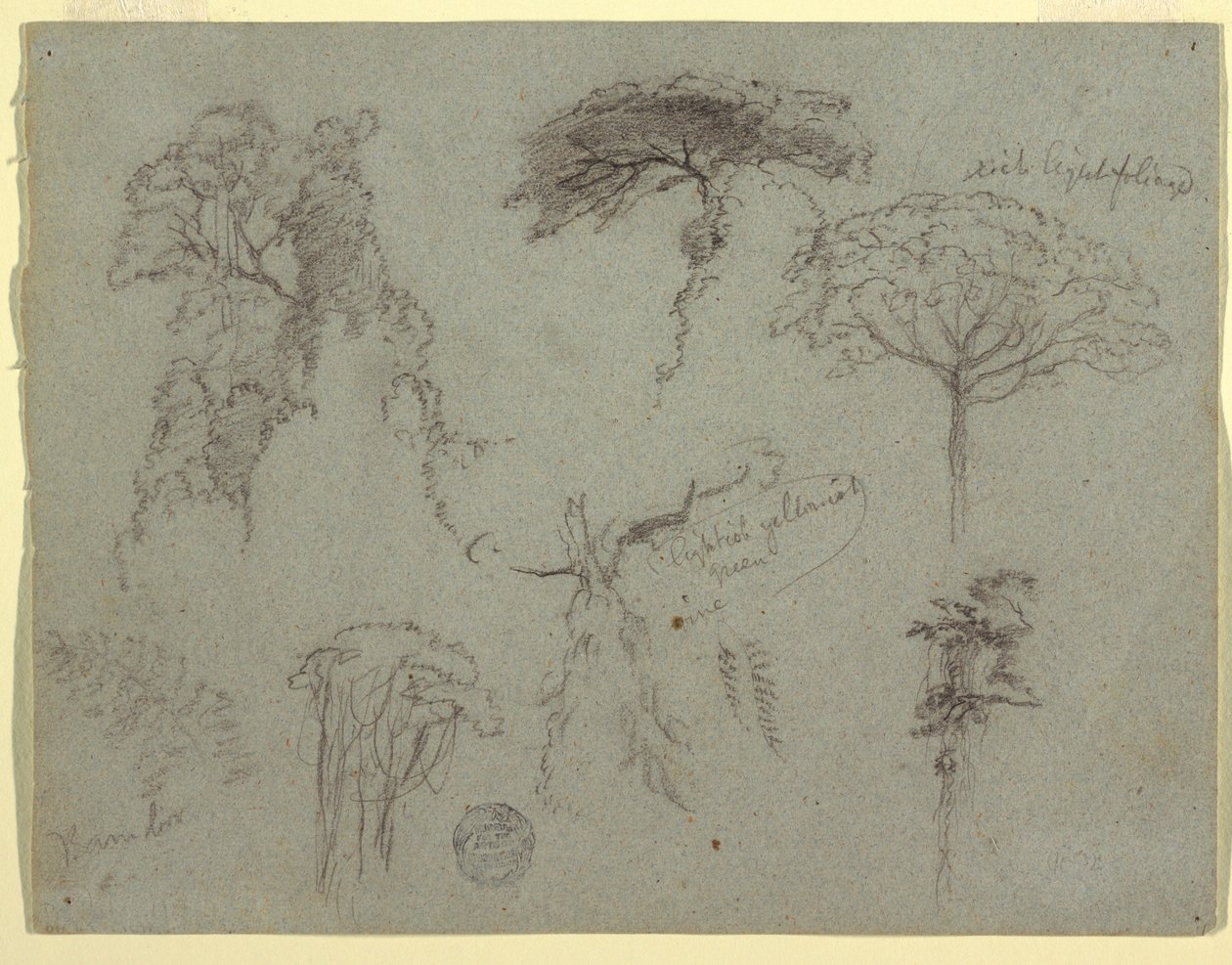 Studies of Trees, Ecuador alkotó: Frederic Edwin Church