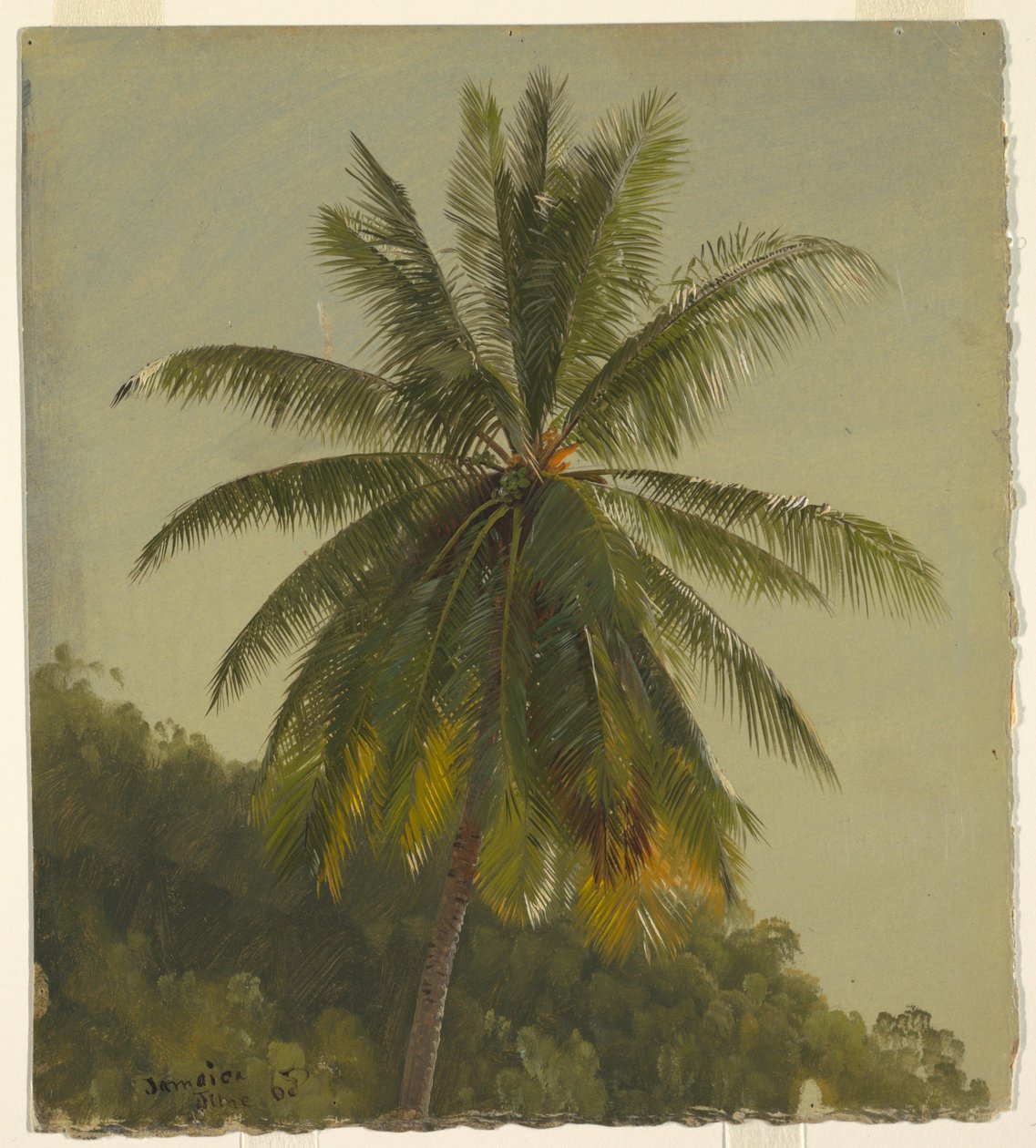 A pálmafa tanulmányozása, Jamaica alkotó: Frederic Edwin Church