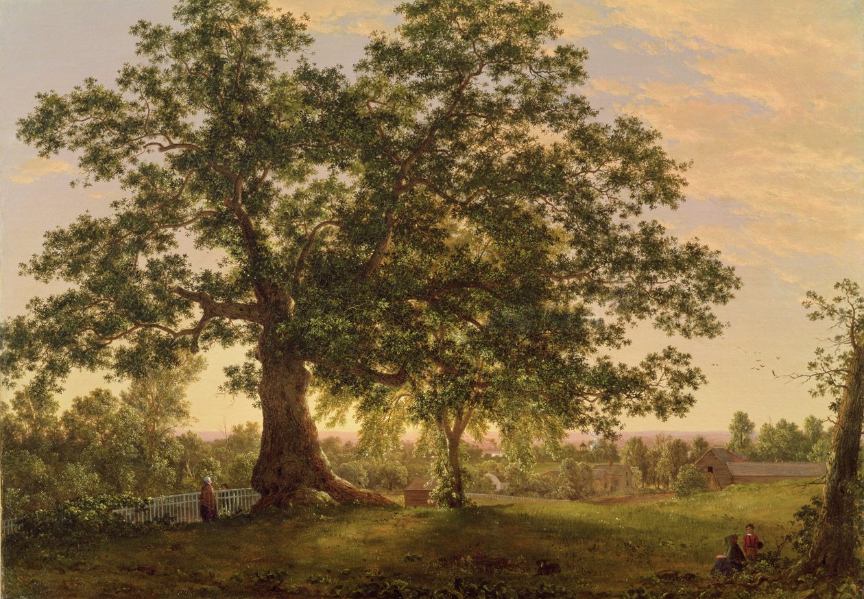 A Charter Oak Hartfordban, 1846 körül alkotó: Frederic Edwin Church
