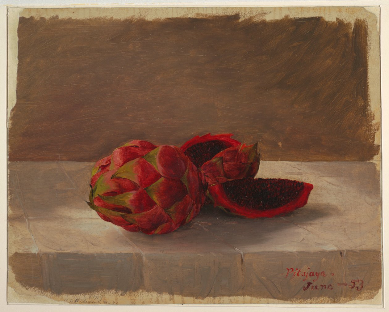 Pitajaya gyümölcs, Columbia alkotó: Frederic Edwin Church