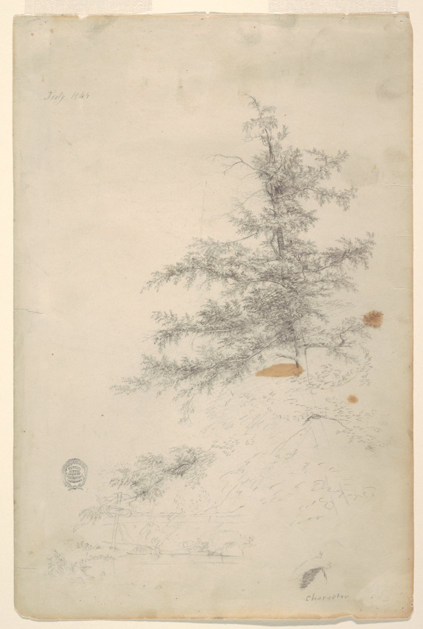 Fa, patak alkotó: Frederic Edwin Church