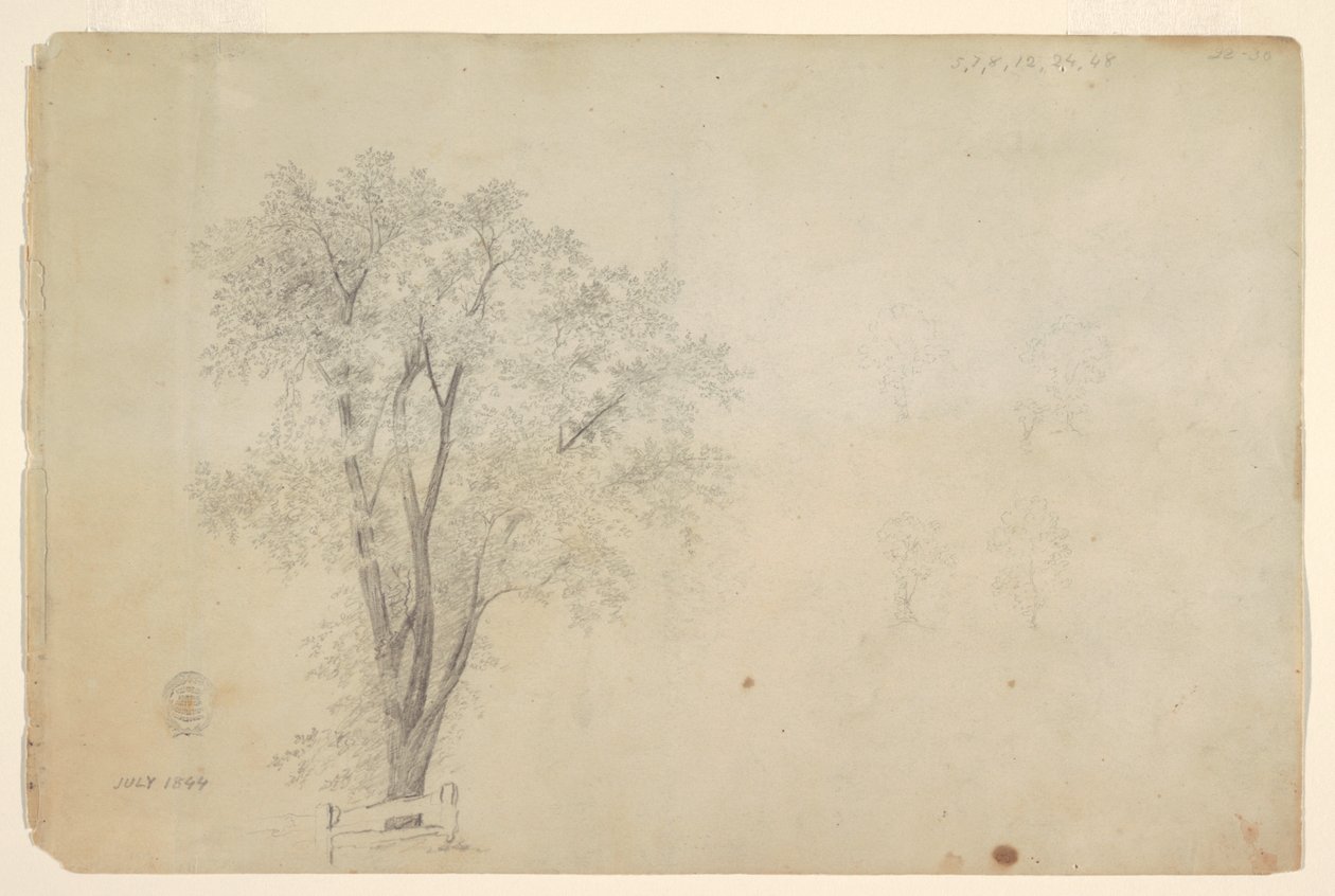 fák alkotó: Frederic Edwin Church