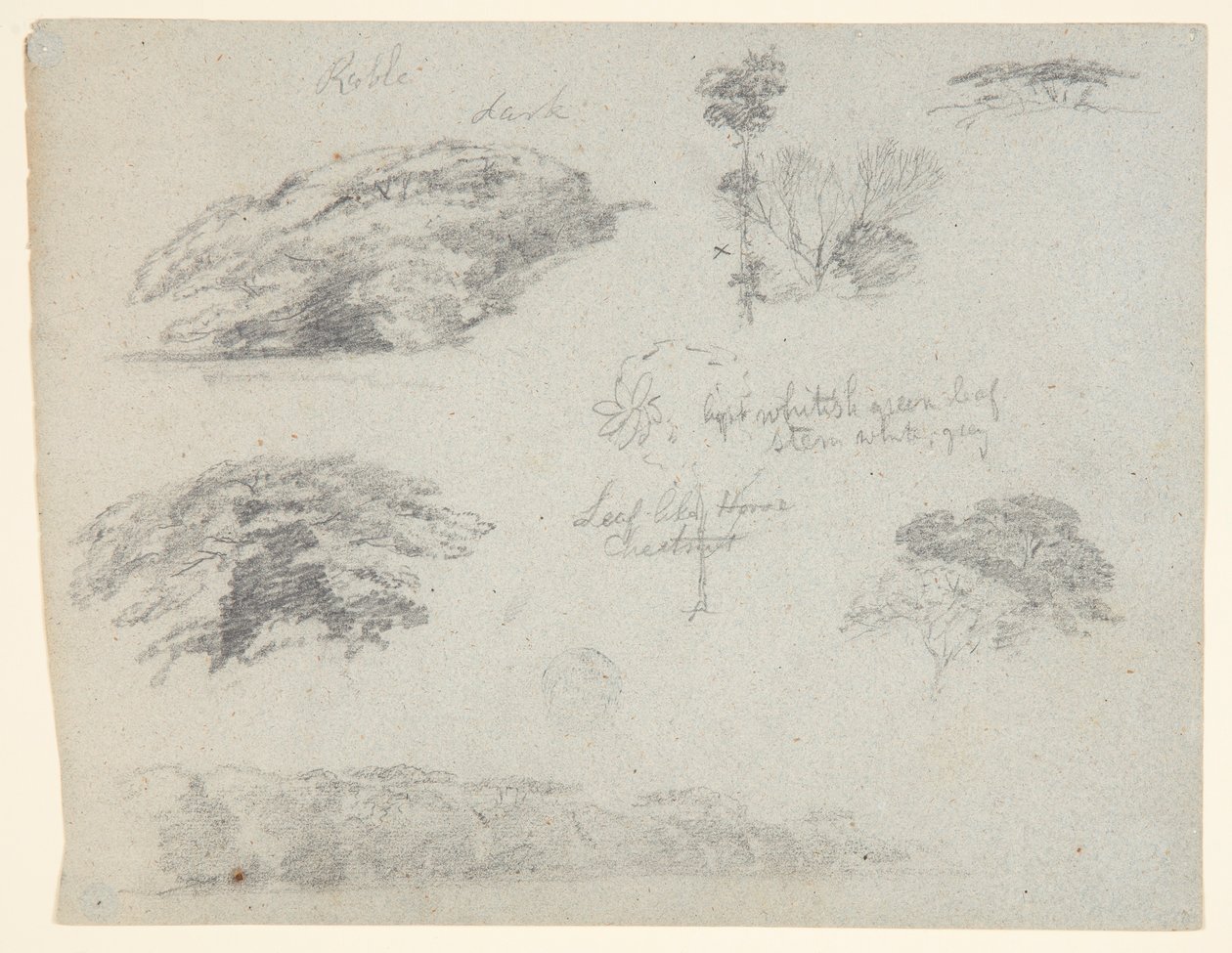 Fák, fák teteje és egy erdős part, Saddleback, Maine alkotó: Frederic Edwin Church