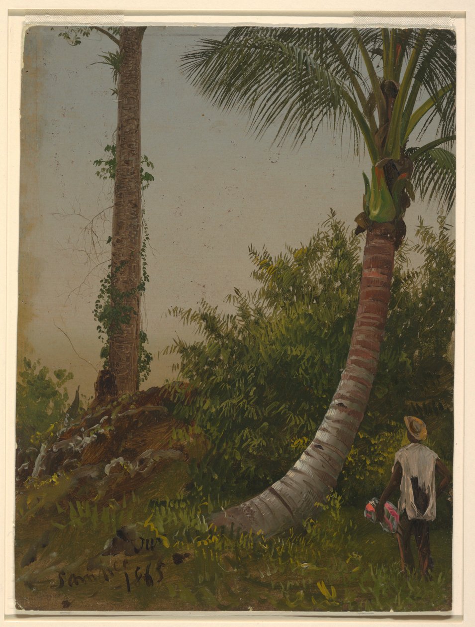 Fák Jamaicán, Nyugat-Indiában alkotó: Frederic Edwin Church