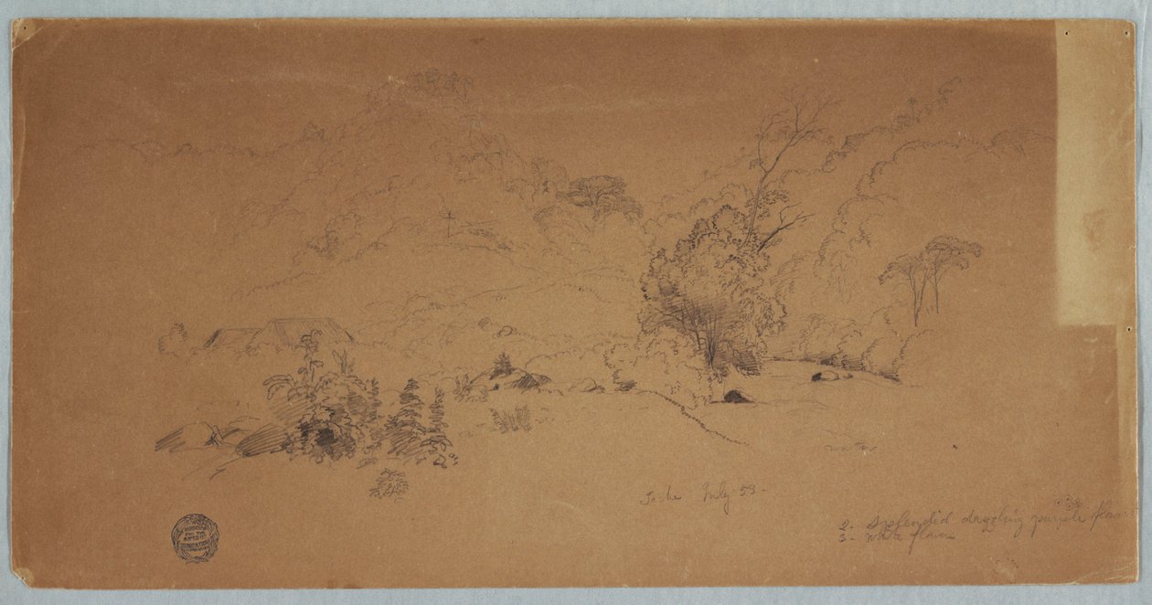 Kilátás Toche, Kolumbia alkotó: Frederic Edwin Church