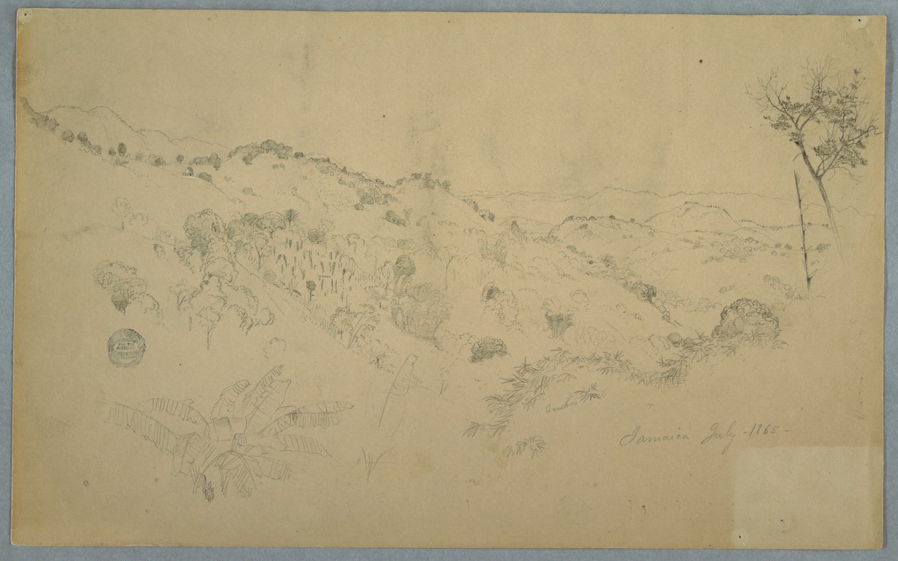 Erdős völgy egy nagy páfránnyal és távoli hegyláncokkal, Jamaica alkotó: Frederic Edwin Church