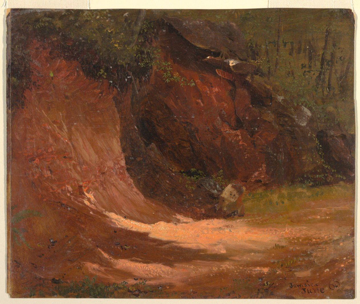 Woodland Bank, Jamaica alkotó: Frederic Edwin Church