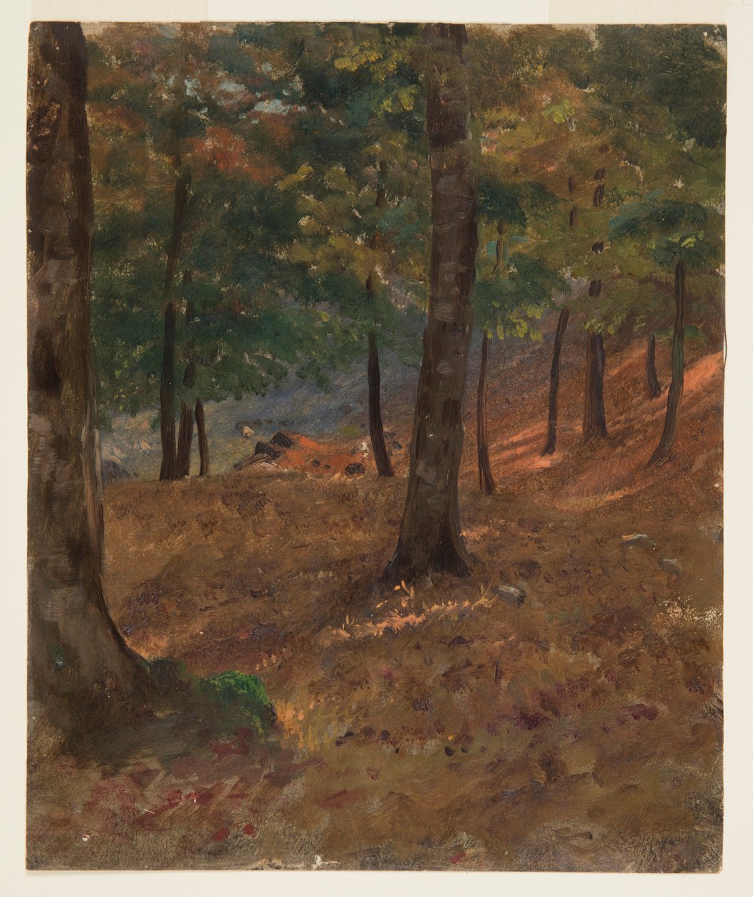 Erdei jelenet alkotó: Frederic Edwin Church