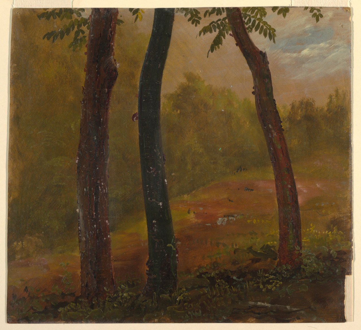 Woodland Scene, Jamaica alkotó: Frederic Edwin Church