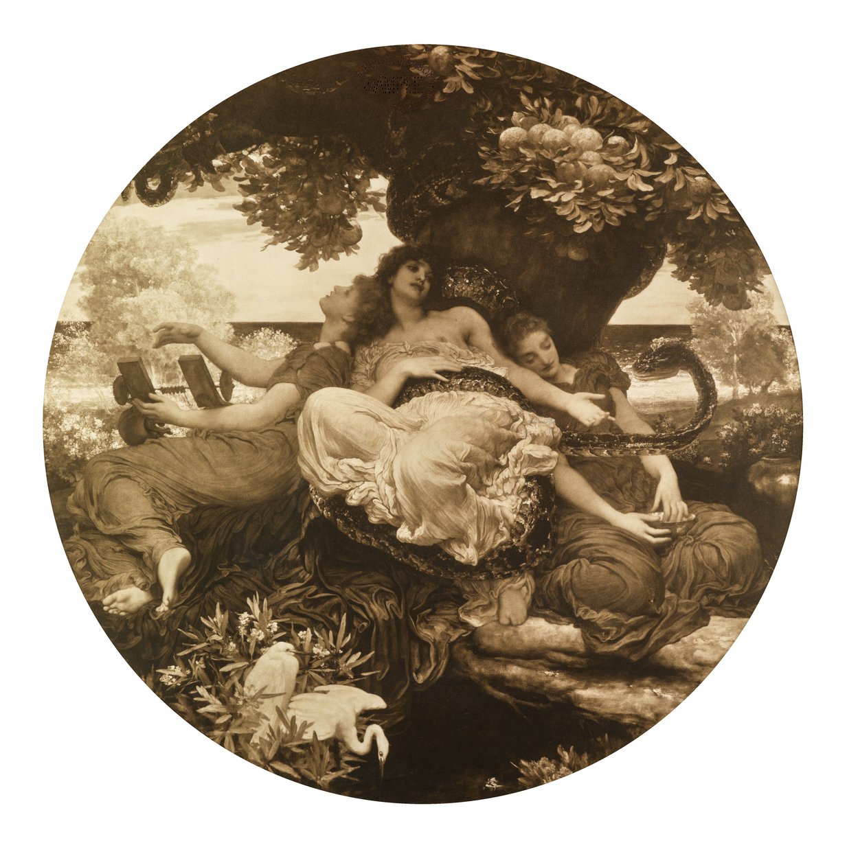 A Hesperidák kertje (fotogravír) alkotó: Frederic Leighton