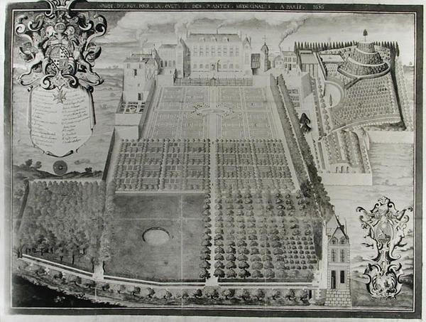 A Kings Gyógynövénykert, 1636 alkotó: Frederic Scalberge