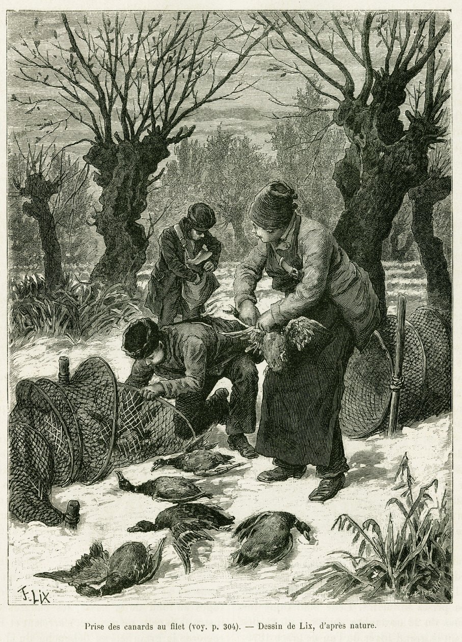 Fogj kacsákat a hálóba. Lix metszete az Elzászon és Lotaringián keresztül című történet illusztrálására 1887-ben, Charles Grad német tisztviselőtől, a tour du monde 1888-ban, rendező: Edouard Charton (1807-1890), Hachette, Párizs. alkotó: Frederic Theodore Lix