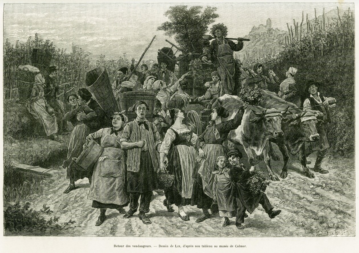 A termés visszatérése. Lix metszete az Elzászon és Lotaringián keresztül című történet illusztrálására 1887-ben, Charles Grad német tisztviselőtől, a tour du monde 1888-ban, rendező: Edouard Charton (1807-1890), Hachette, Párizs. alkotó: Frederic Theodore Lix