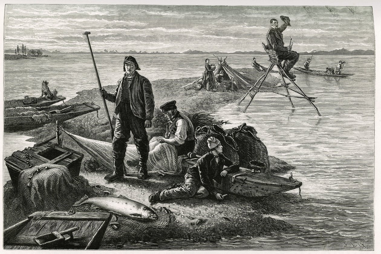 Lazac horgászat. F.Lix metszete a „Through Elsace and Lorraine” (Elzászon és Lotaringián keresztül) című történet illusztrálására 1884-ben, Charles Grad (1842-1890) német képviselő, író és természettudós. Megjelent a Le Tour du monde, nouveau Journal des v alkotó: Frederic Theodore Lix